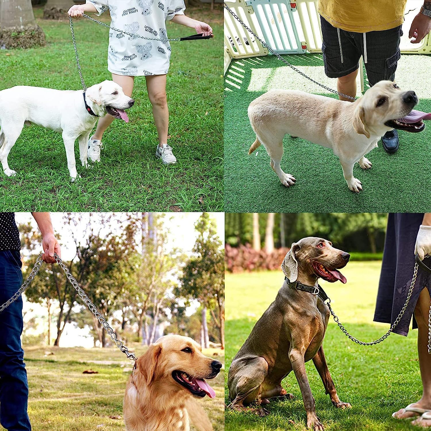 Enhance Your Walks with Our Heavy Duty Metal Chew Proof Chain Leash